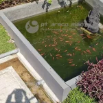 Kolam ikan dari output limbah industri yang telah di proses oleh IPAL WWTP di semarang